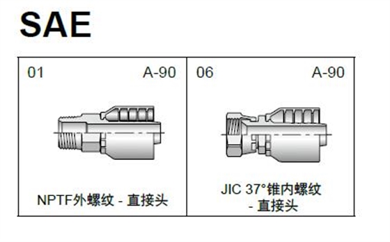 211.jpg 211.jpg