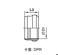 DPR 卡套.jpg DPR 卡套.jpg
